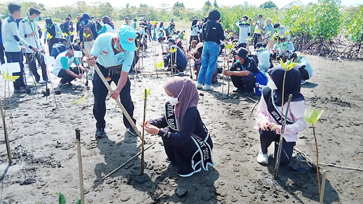 Lestarikan Mangrove di Bojongsalawe