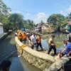 Fokus Pemulihan