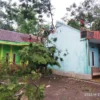 Pohon Tumbang Rusak Empat Rumah