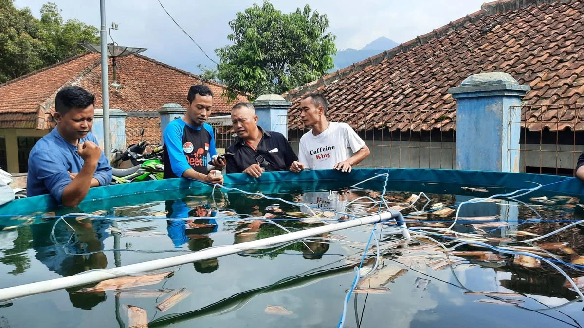 Warga Desa Kadipaten Dilatih Teknik Bioflok