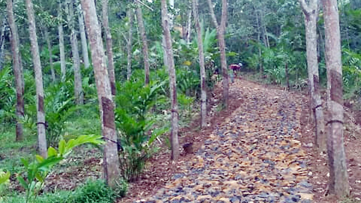 Jalan Tonjong Canyon Dibangun