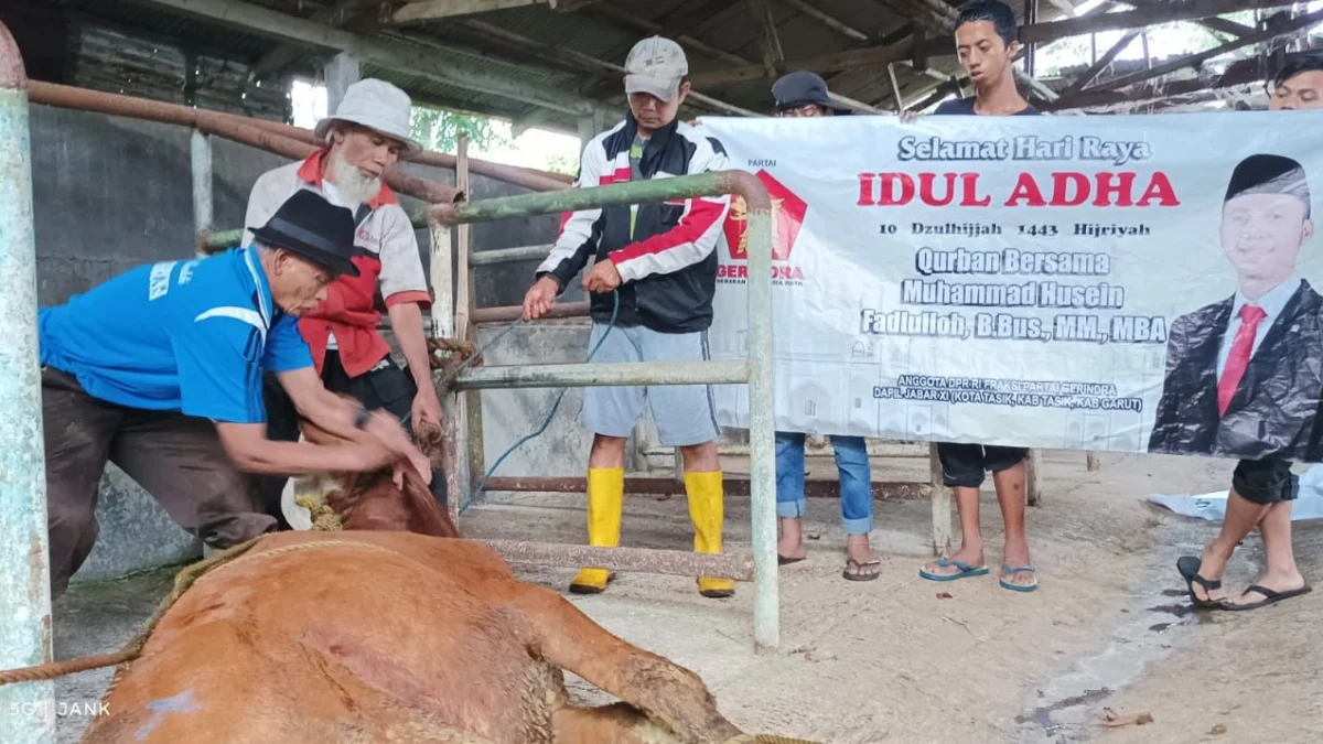 M Husein Fadlulloh Bagikan 25 Ekor Sapi Kurba