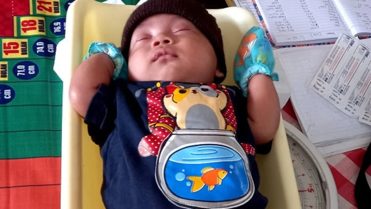 3,1 Persen Bayi Alami Stunting