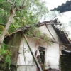 Dua Rumah Tertimpa Pohon