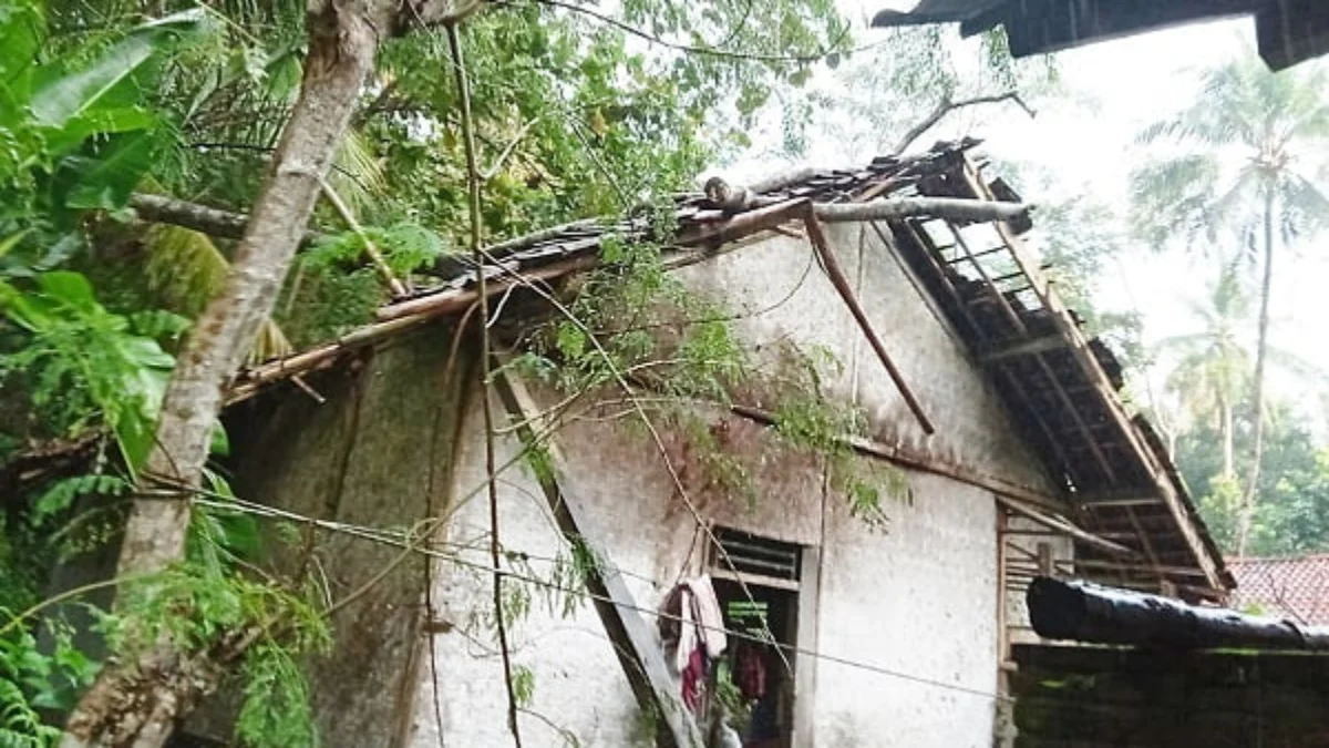 Dua Rumah Tertimpa Pohon