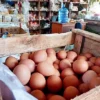 PKH Pengaruhi Harga Telur