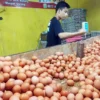 Harga Telur Tembus Rp 31 Ribu