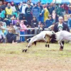 Ketangkasan Domba Kembali Digelar