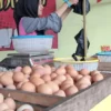 Harga Telur Ayam Tak Stabil