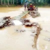 Jembatan Cayur Tak Kunjung Diperbaiki