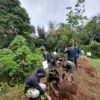 Mahasiswa Tanam Pohon di Lokasi Rawan Longsor