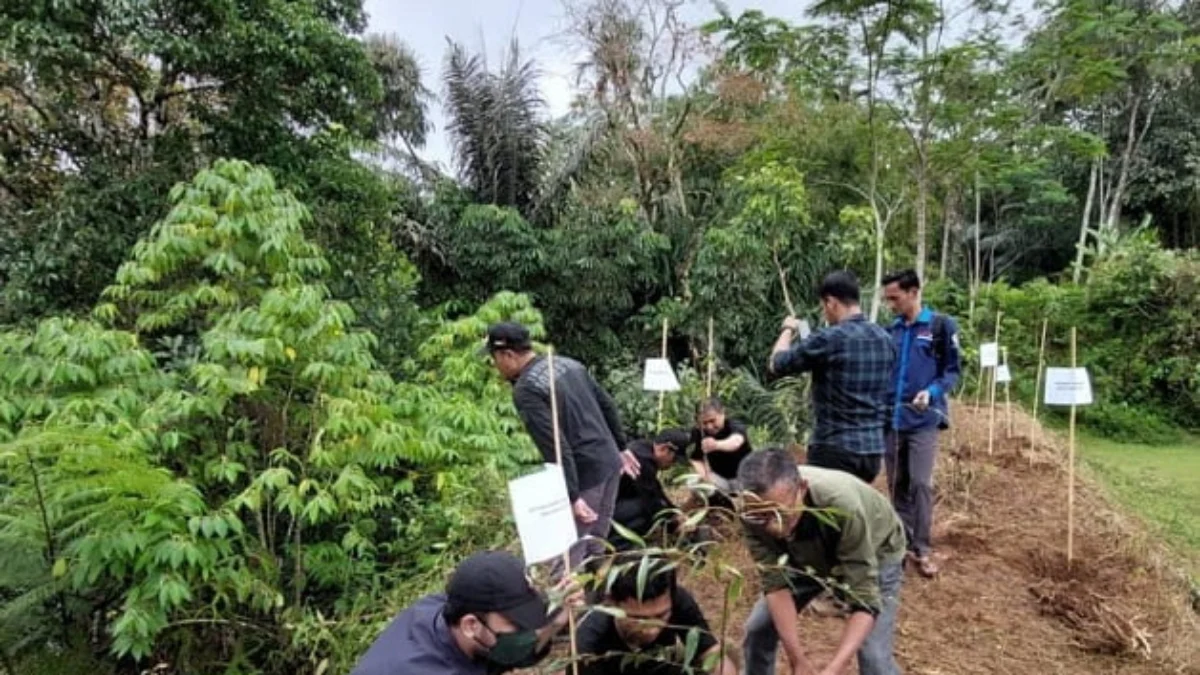 Mahasiswa Tanam Pohon di Lokasi Rawan Longsor