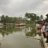 Balita Meninggal di Kolam Ikan