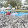Nelayan Panen Ikan Layang