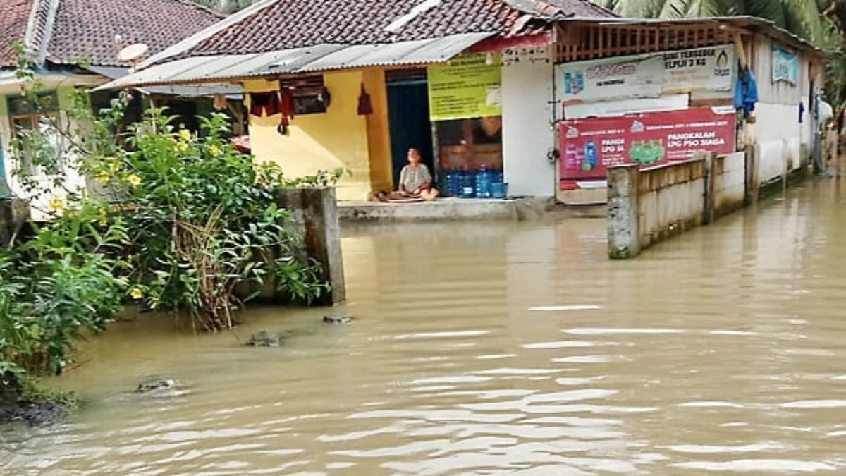 Rumah Warga Terendam