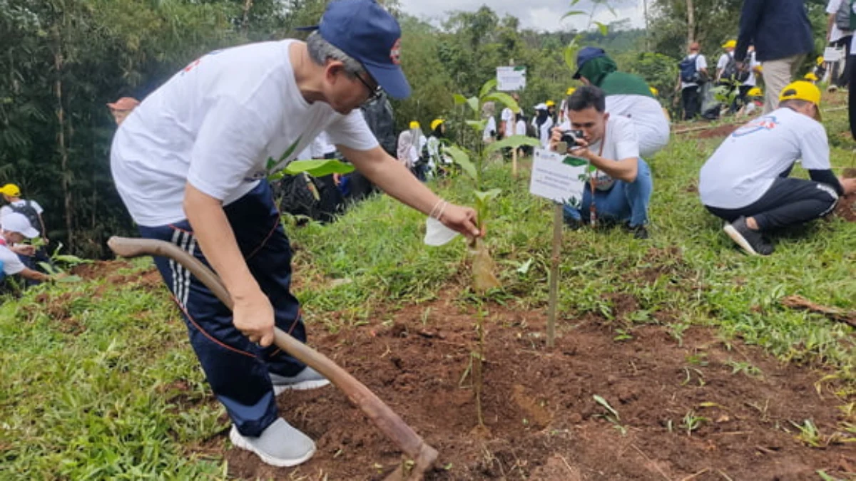 Umtas Tanam 2022 Pohon Manglid