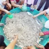 Warga Berburu Ikan Teri di Masa Panen