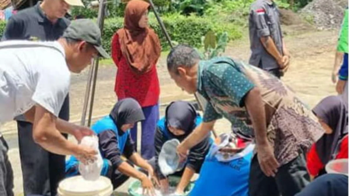 Mengolah Kelapa Jadi Minyak Murni