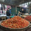 Cabai Melonjak, Telur Turun