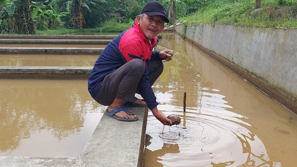 Petani Ikan Merugi Puluhan Juta