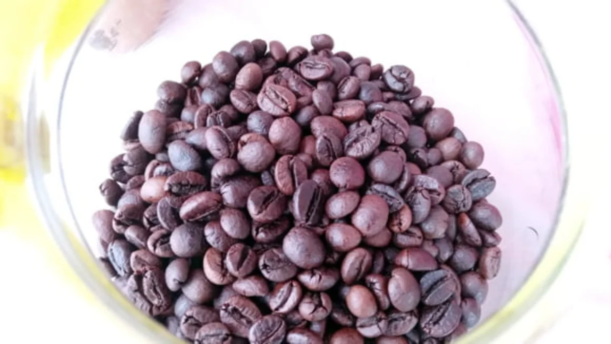 Robusta Wine Berpotensi Mendunia