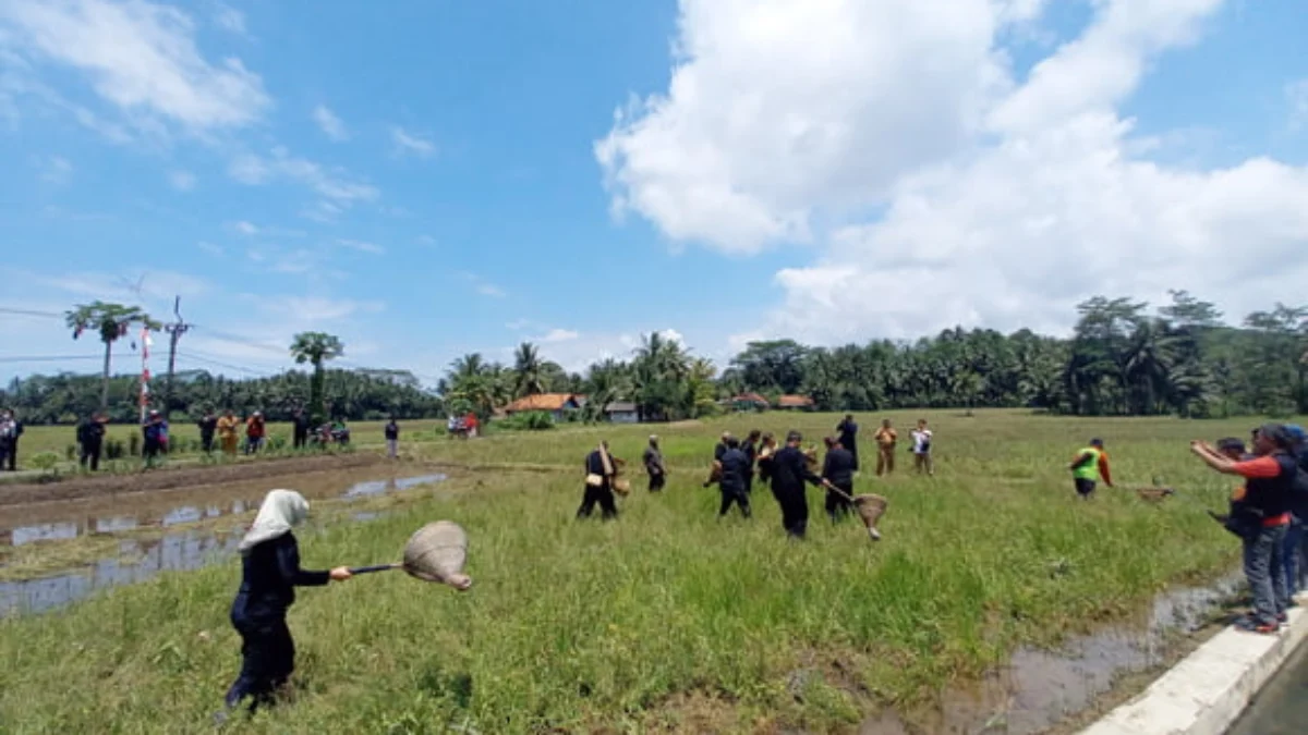 Budaya Nampaling Bisa Tarik Wisatawan