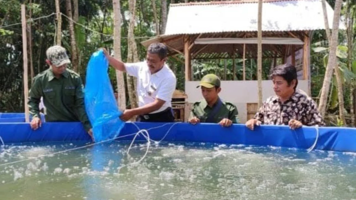 Budidayakan Ikan dengan Sistem Bioflok