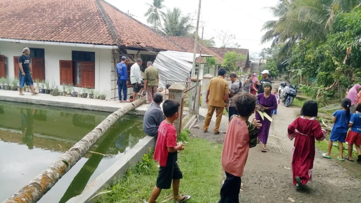 Pohon Kelapa Tumbang Menimpa Rumah Warga