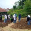 Lulusan SMK Siap Bertani