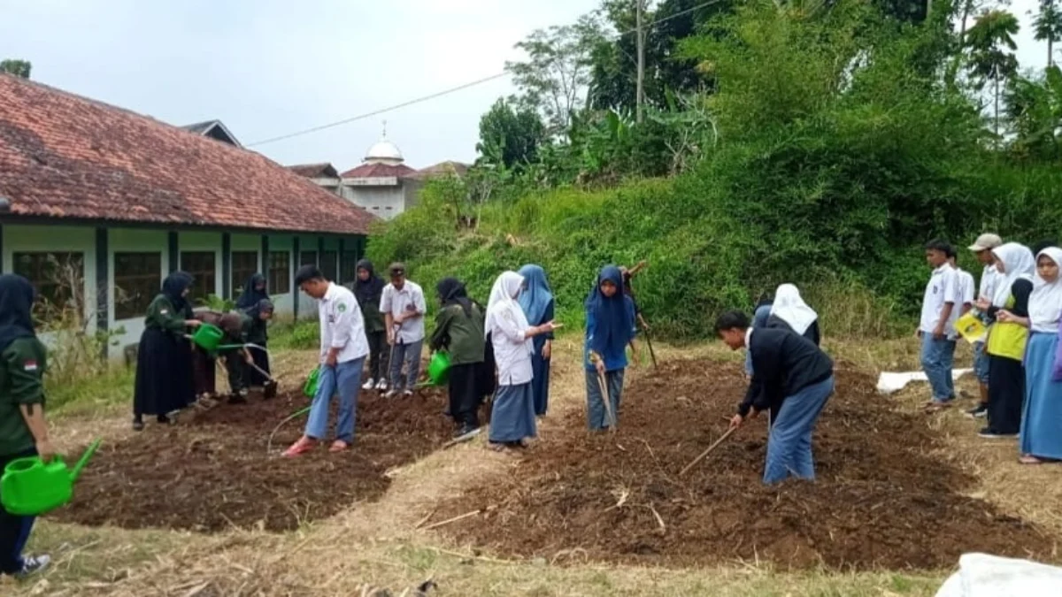 Lulusan SMK Siap Bertani