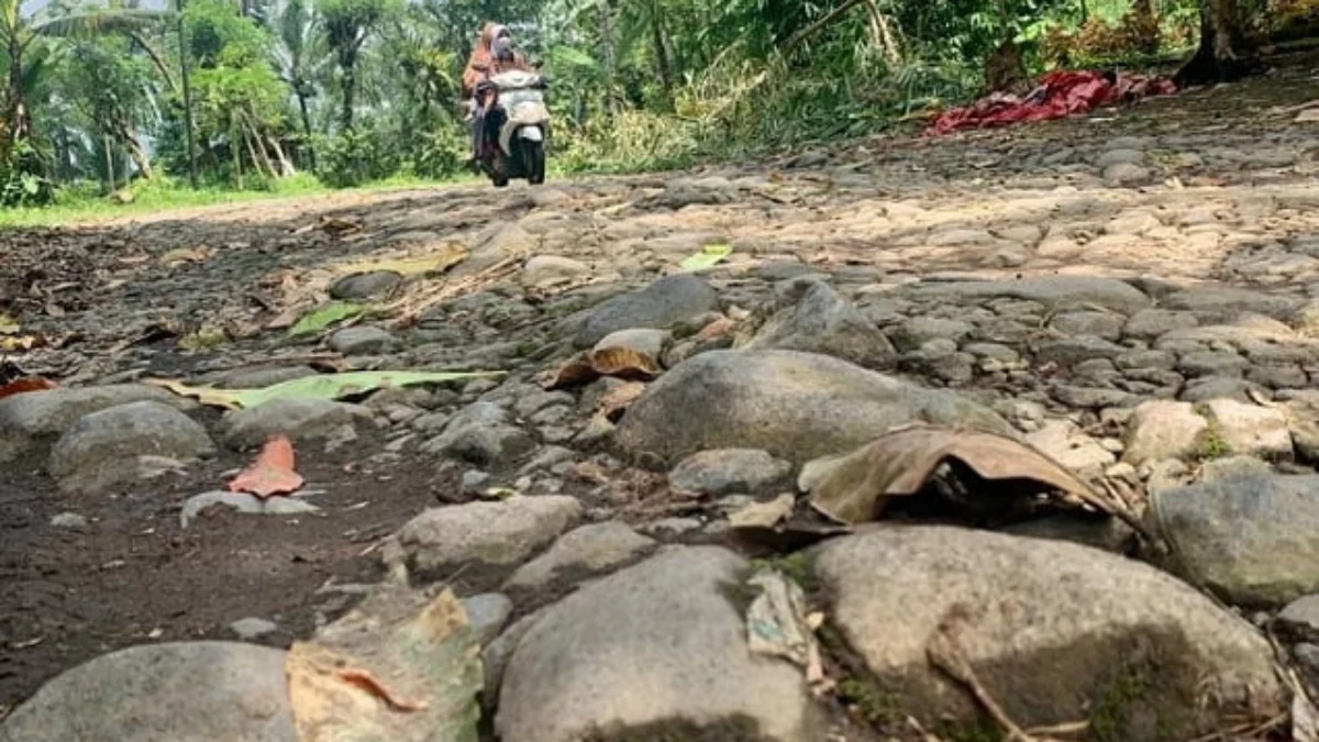 Jalan Kabupaten Banyak Tak Terurus