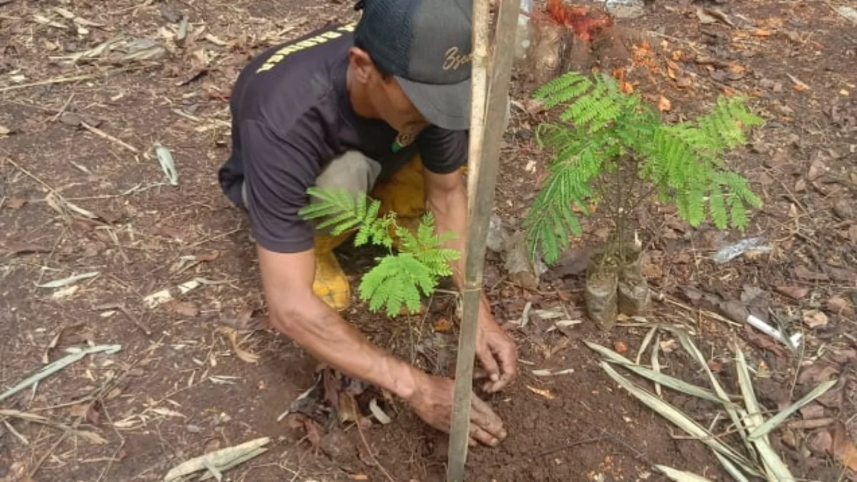 Pemdes Tanjungsari Tanam Ratusan Pohon