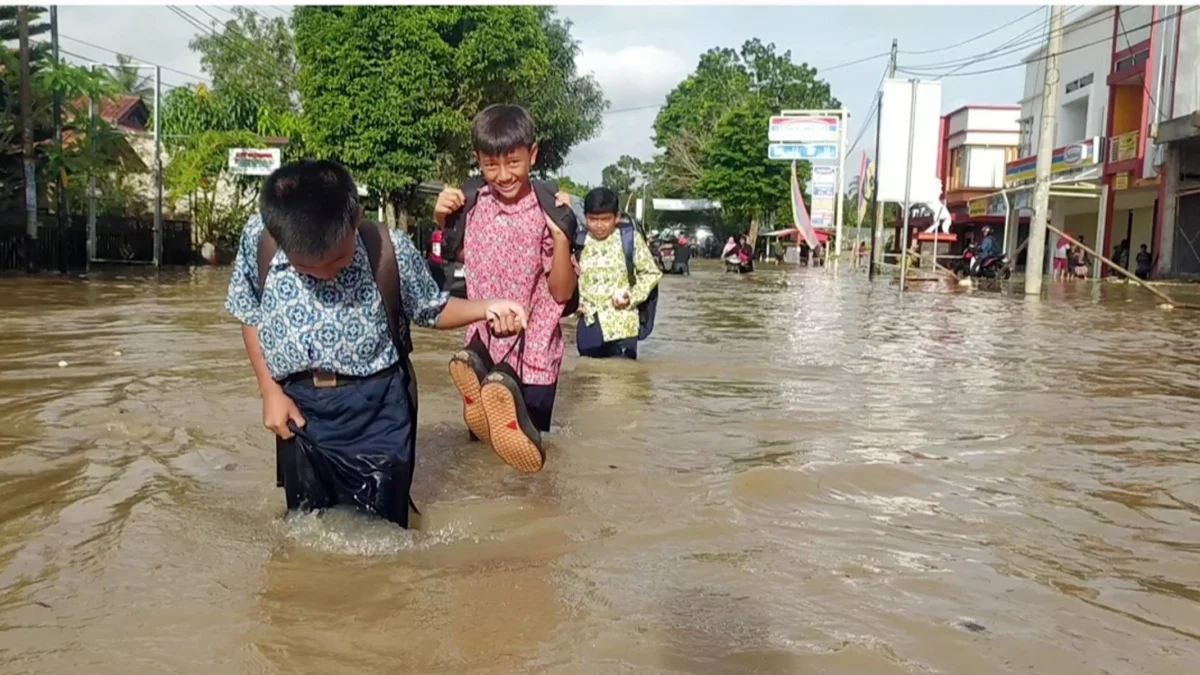 Banyak Sawah Terendam Banjir