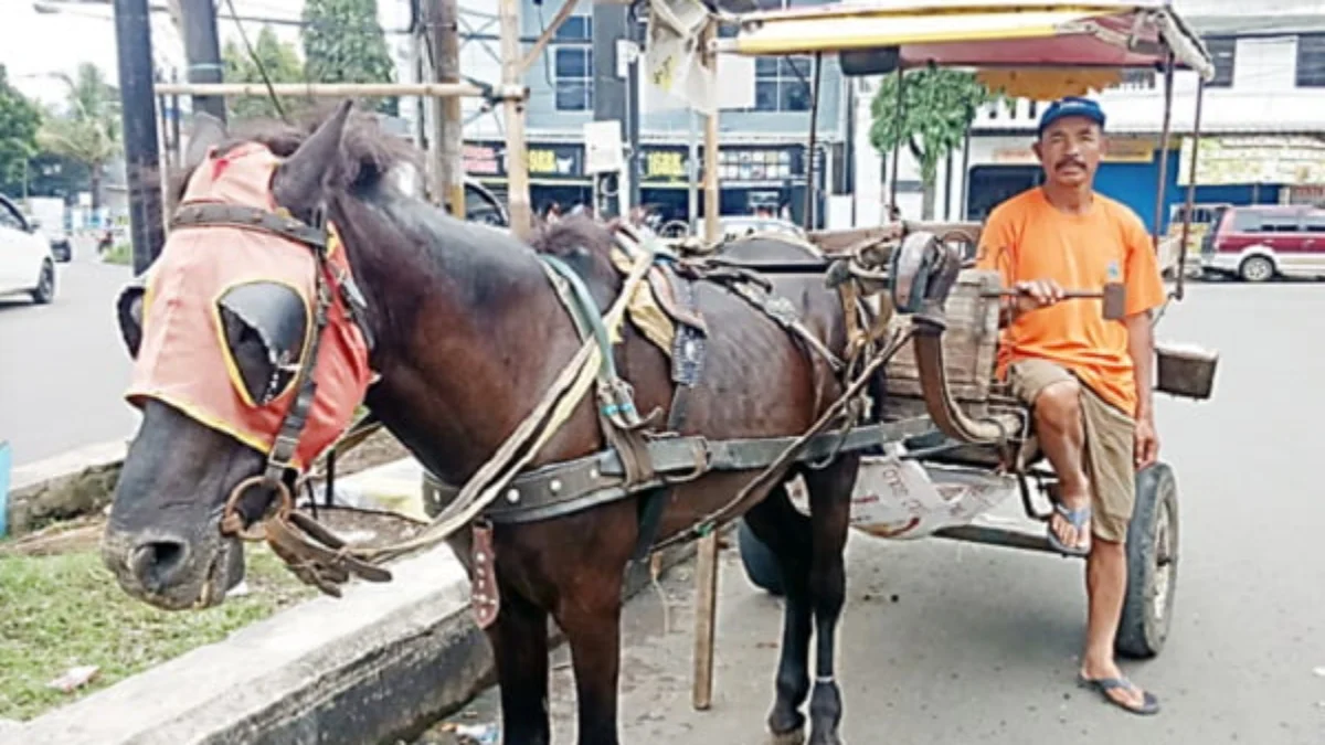 Delman Tetap Eksis di Tengah Gempuran Transportasi Online