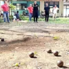 Cabor Petanque Akan Dijadikan Sport Tourism