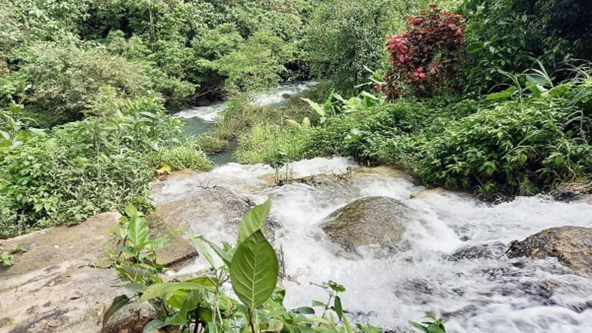 Objek Wisata Jojogan Hills Lama Mati Suri