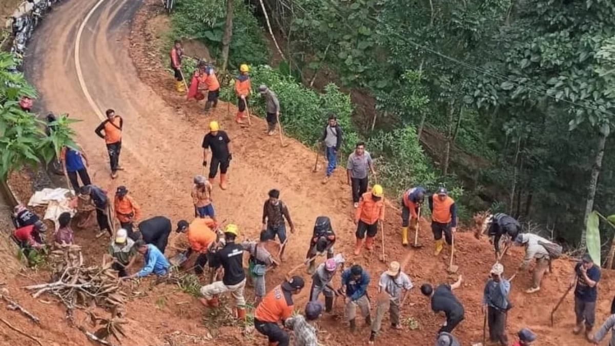 Setahun, 239 Longsor Terjadi