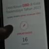 Awal Tahun Sudah 16 Kasus DBD