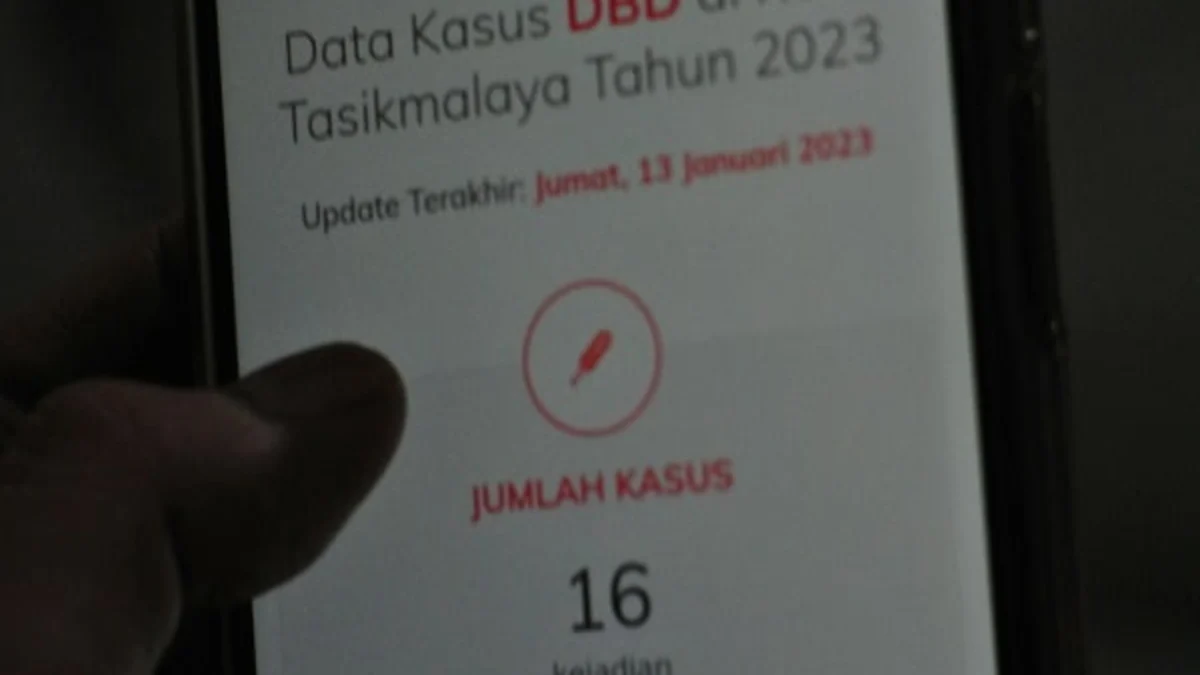 Awal Tahun Sudah 16 Kasus DBD