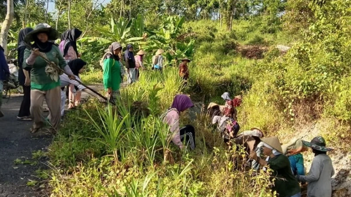 Ratusan Petani Bersihkan Irigasi