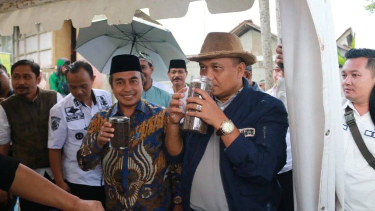 Teh Taraju Kabupaten Tasikmalaya