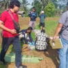 buruh tani meninggal di sawah