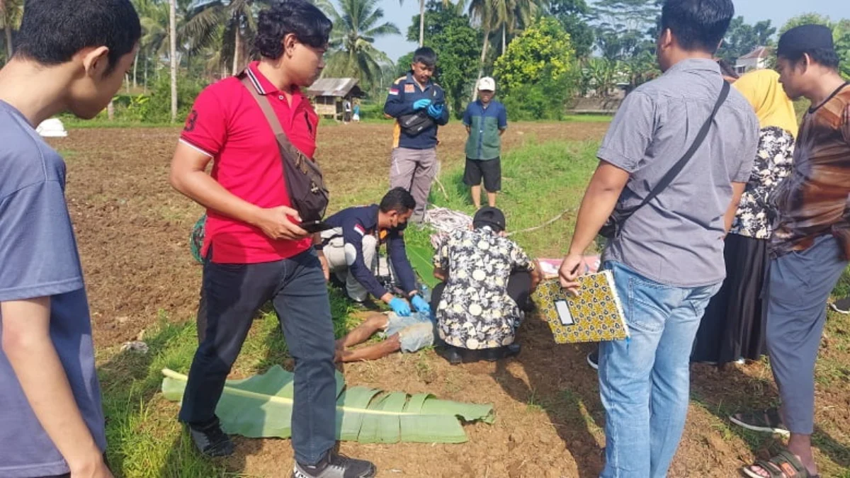 buruh tani meninggal di sawah