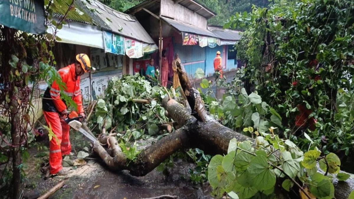 pohon tumbang dan rumah roboh