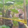 hadi nekat mengakhiri hidup di pohon jambu