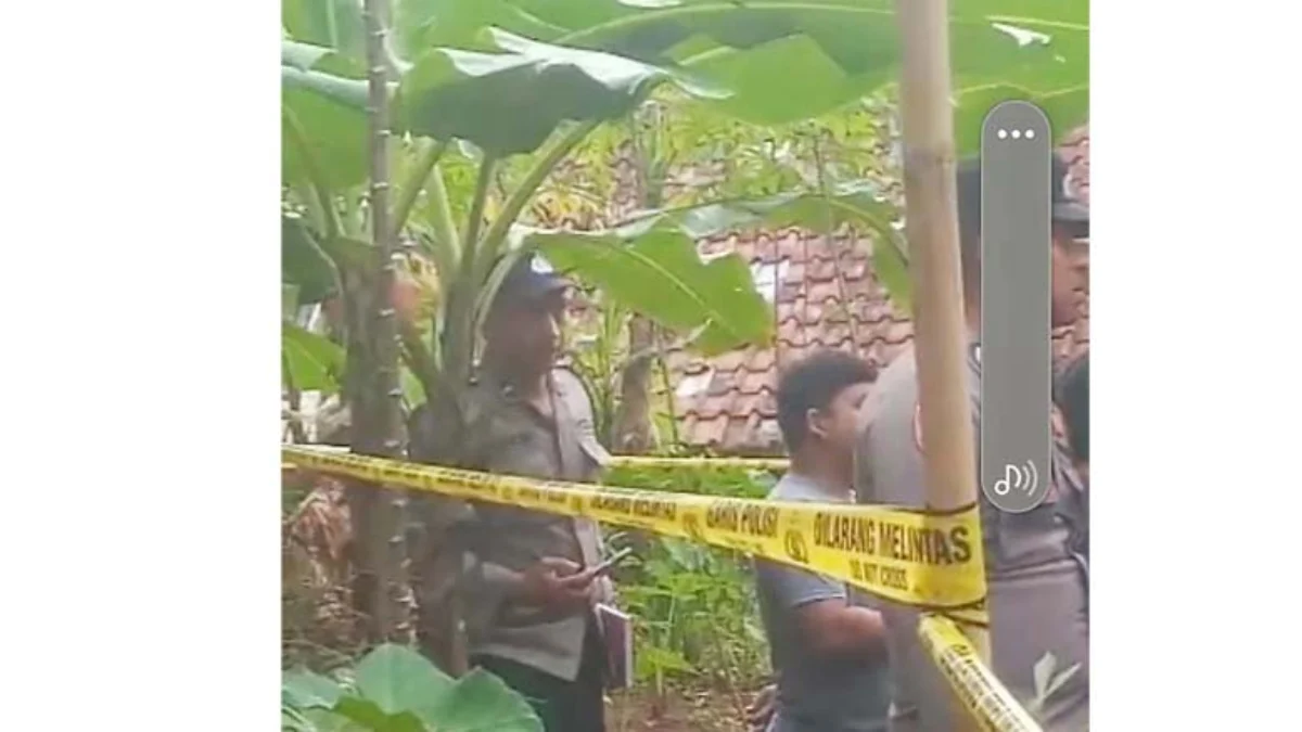 hadi nekat mengakhiri hidup di pohon jambu