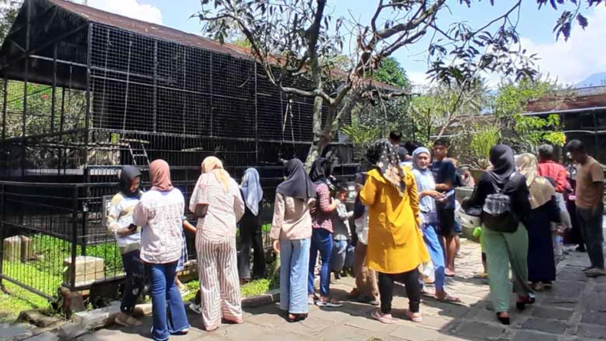 Timet Masuk Taman Satwa Cikembulan