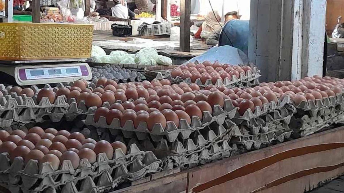 Harga Telur Ayam