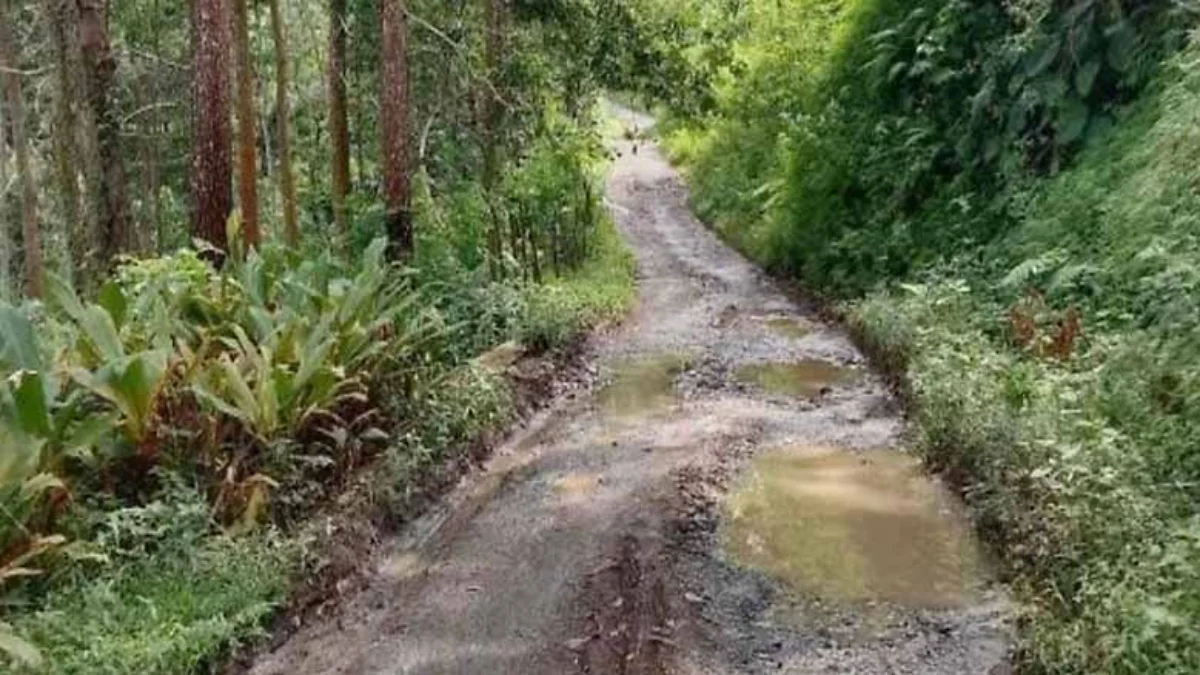 Jalan di Kecamatan Pakenjeng