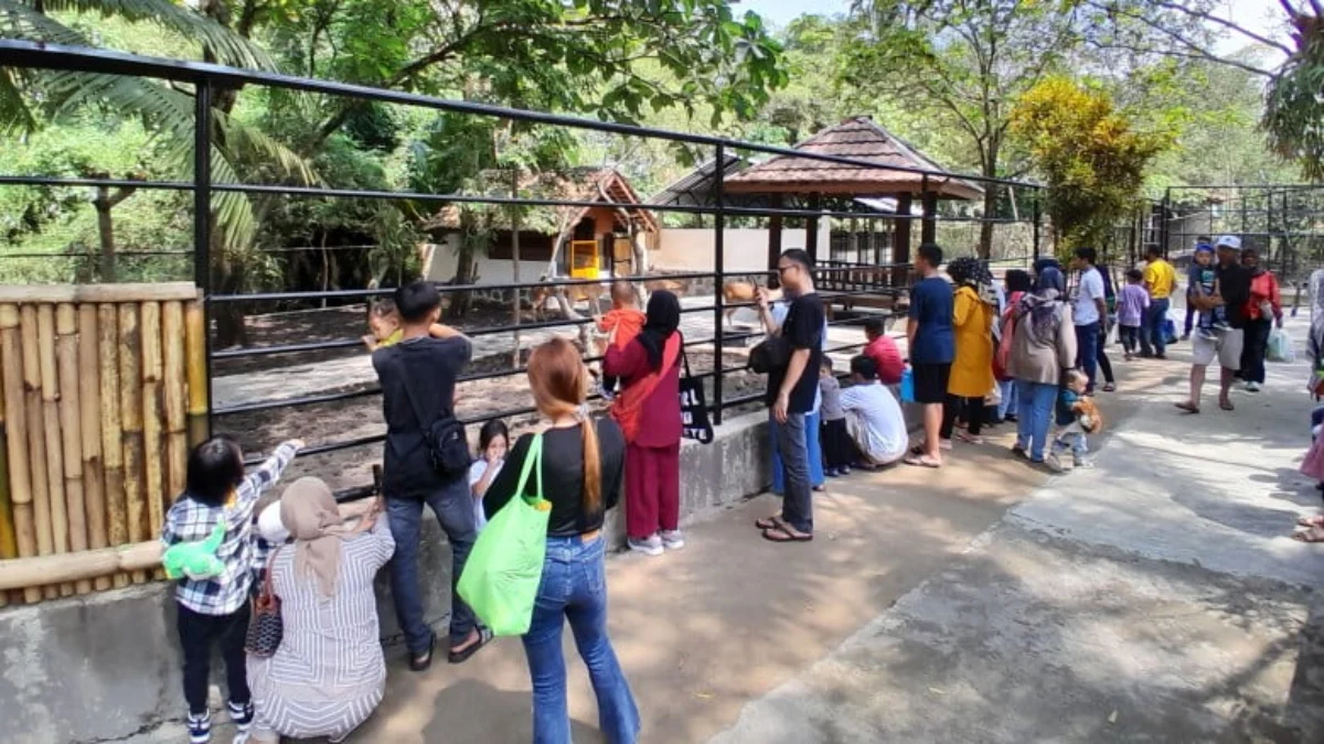 Objek wisata Taman Satwa Cikembulan